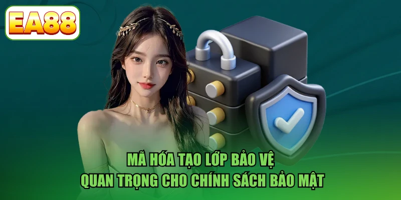 Mã hóa tạo lớp bảo vệ quan trọng cho chính sách bảo mật