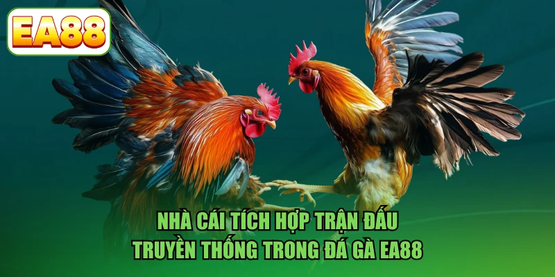 Nhà cái tích hợp trận đấu truyền thống trong đá gà EA88